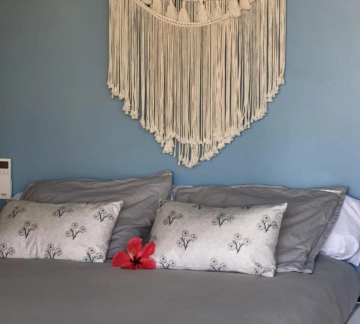 Apartament Studio Tibiscus - Riviere Salee